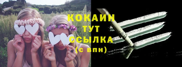 стаф Арсеньев