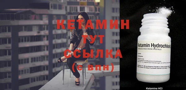 стаф Арсеньев