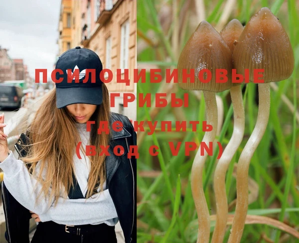 прущая мука Аркадак