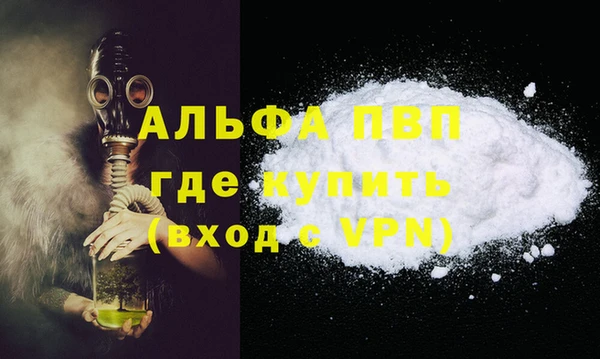 стаф Арсеньев